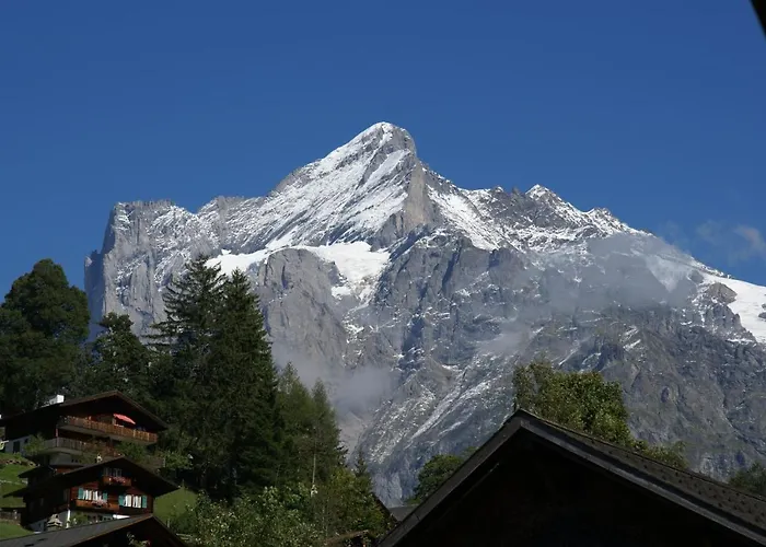 Daire Apartment Baereggblick - Griwa Rent Ag *